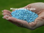 Mineralinės trąšos projektas 1