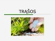 Trąšų rūšys projektas