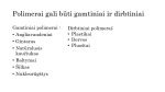 Polimerai prezentacija 2