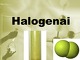 Halogenų bendroji charakteristika