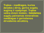 Trąšos ir jų skirstymas 3