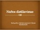 Naftos distiliavimas
