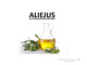 Aliejus: sandara ir gavimas
