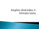 Anglies dioksidas ir klimato kaita pristatymas