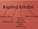 Rūgštieji krituliai