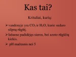Rūgštieji krituliai 2