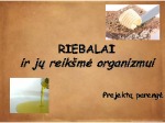Riebalai ir jų reikšmė žmogui 1