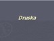 Skaidrės apie druską