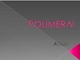 Polimerai pristatymas