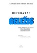 Geležis. Referatas.
