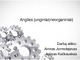 Anglies junginiai