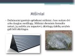 Mišiniai 2