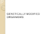 Genetically Modified Organisms 1