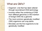 Genetically Modified Organisms 2