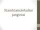 Stambiamolekuliniai junginiai pristatymas