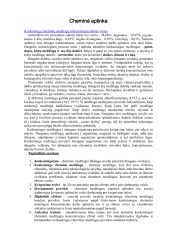 Cheminė aplinka 1