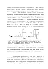 Naftos perdirbimas į degalus ir tepalus 2