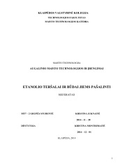Etanolio teršalai ir būdai jiems pašalinti 1