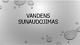 Vandens sunaudojimas