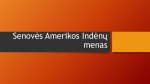 Amerikos Indėnų menas 1
