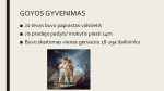 Goya: gyvenimas ir kūryba 3