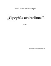 Grafika referatas 1