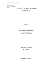 Dailės egzaminas aprašas 1