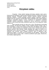 Dailės egzaminas aprašas 3