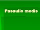 Pasaulio medis