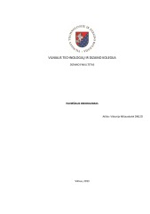 Sienų paviršiaus dekoravimas 1