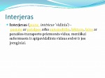 Interjeras pristatymas 2