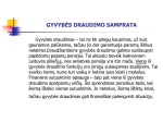 Gyvybės draudimo rinka skaidrės 3