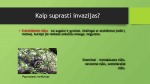 Invazinių rūšių poveikis skaidrės 3