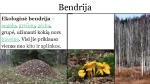 Ekologiniai pagrindai 2