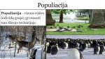 Ekologiniai pagrindai 3