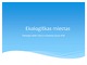 Ekologiškas miestas projektas