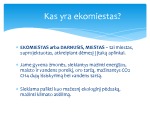 Ekologiškas miestas projektas 2