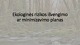 Ekologinės rizikos išvengimo ar minimizavimo plano pristatymas