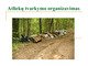 Atliekų tvarkymo organizavimas