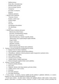 Darnusis vystymasis konspektas 2