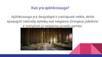 Aplinkosaugos problemos ir jų sprendimai skaidrės 2