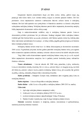 Mokėjimų balanso analizė 2