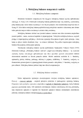 Mokėjimų balanso analizė 3