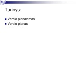 Verslo planavimas skaidrės 2