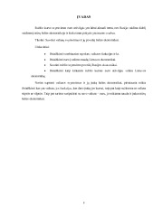 Euro kurso svyravimas pasirinktų valiutų atžvilgiu ir įtaka Lietuvos ekonomikai 3