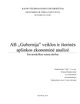 AB Gubernija veiklos ir išorinės aplinkos ekonominė analizė