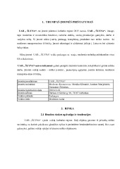 Medienos ruoša verslo planas 3