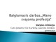 Ekonomika mano svajonių profesija
