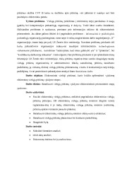 Viešieji pirkimai bakalauro darbas 3