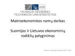 Suomijos ir Lietuvos ekonomikos rodiklių palyginimas 1